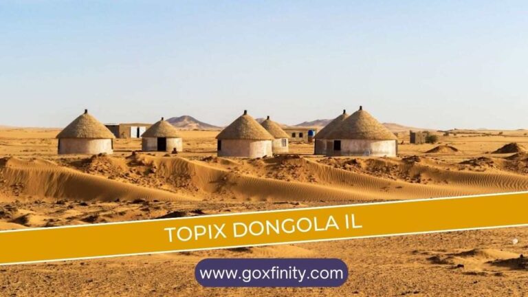 Topix Dongola IL